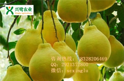 ޽ӣr(ji)