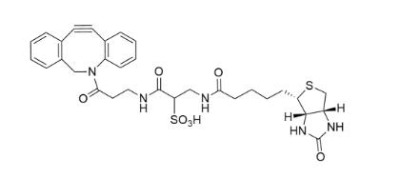 ws dbco-biotin1363444-70-5-h(hun)Ȳ-