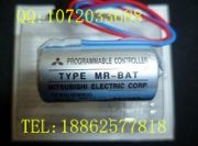 3.6V|֥ ER6VPLC늳