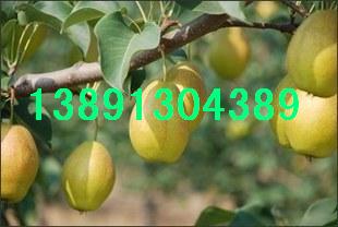 a(chn)ؼta(chn)