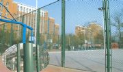 W(xu)@xřڣ\ӈطo(h)W(wng)wW(wng)ʩb