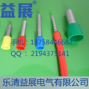 SֱNΚWʽ~ A(y)^^  e6018䉺Ӿ