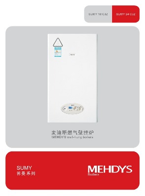麥迪斯燃?xì)獗趻鞝t