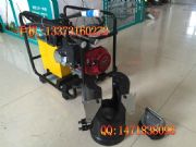 ҺC  300 · әC