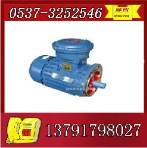 ybk2-132s2-2늙C