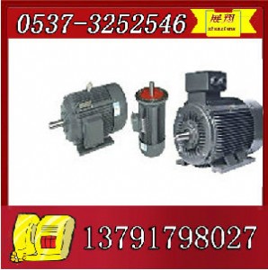 ybk2-100l1-4늙C