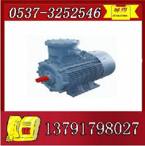 ybk2-315m-6늙C