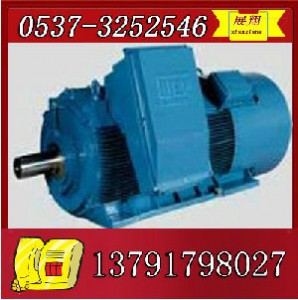ybk2-315l1-8늙C