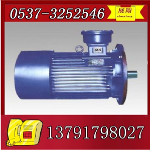 jdsb-4 660/1140v늙C(j)