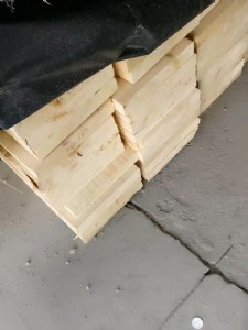 uconifex