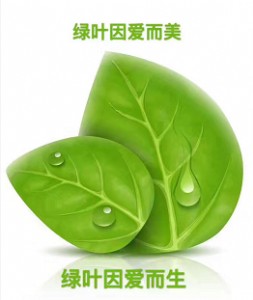 G~a(chn)Ʒô