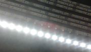 4MM3014lSֱN3014l